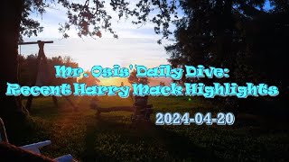 Mr. Osis' Daily Dive: Recent Harry Mack Highlights (2024-04-20)