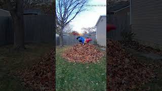 When you just finished Raking (but you have Gnomes)