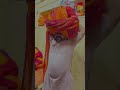 Rajsthani Safa 221 Miter Pagdi Challenge Safa Wedding Rajasthan Trending Barat Viralreels 