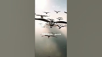 تلاوة خاشعة 🌿 سورة الملك بصوت جميل 🤍