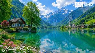 Peaceful Healing Music 2026 🌿 Release Anxiety, Reduce Stress & Restore Emotional Harmony