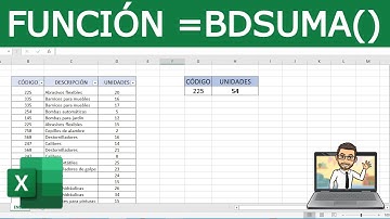 Función BDSUMA en Excel