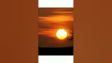 Sun Pictures Beautiful 