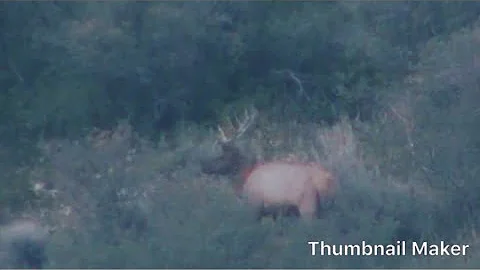 2017 Elk Bow Hunt Craig Colorado