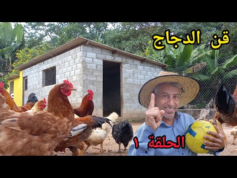 فيديو: حراثة الجرارات: مزايا وعيوب الحراثة الآلية