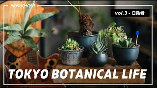 TOKYO BOTANICAL LIFE - vol.3 暗い部屋でも育つ、ハオルチアとシダ植物