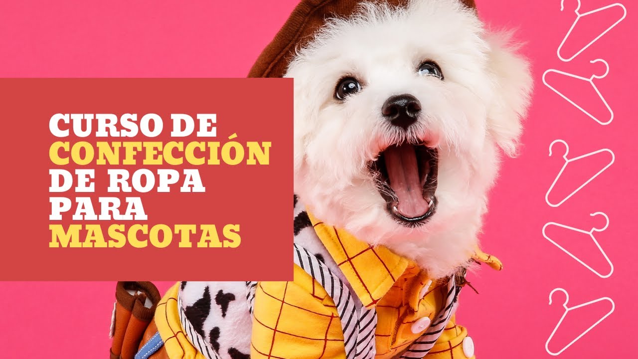 👒 CURSO de CONFECCIÓN de ROPA MASCOTAS 🐶 YouTube