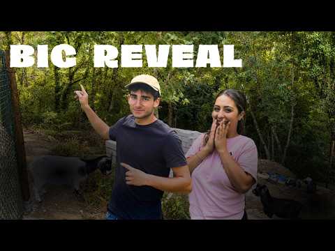 Something New Finally Arrived... | Restoring an Abandoned Farm