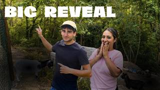 Something New Finally Arrived... | Restoring an Abandoned Farm