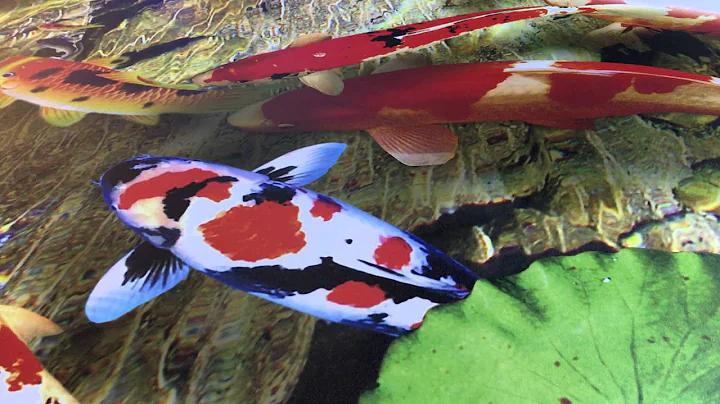 large size acrylic uv flatbed printer 5D effect Ricoh uv printing machine with fast speed