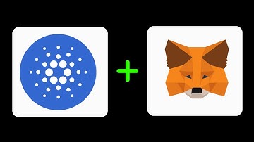 How to Add Cardano to Metamask Wallet || Transfer Cardano ( ADA ) to Metamask