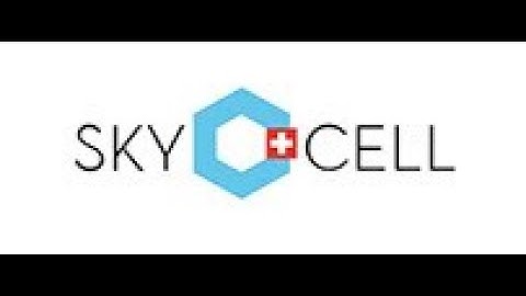 SkyCell - ANSYS CADFEM témoignage client