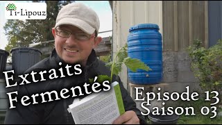 Fabriquer un Extrait Fermenté d'Orties (ex-purin) de grande qualité.