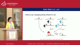 Hana Cahová: Another layer of information - 5’end RNA modifications