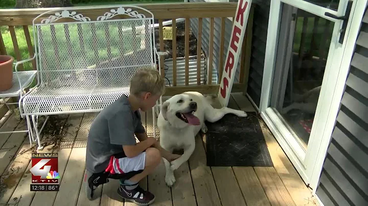 Norfolk, NE boy brings home service dog to help with Epilepsy
