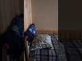 Приморское Большевик база Каштан 06. 2021