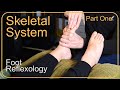 How to work the skeletal system in reflexology   part 1