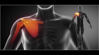 FRACTURAS Y LUXACIONES DE HOMBRO, FRACTURAS DE CLAVICULA, ESCAPULA, DIAFISIARIAS DE HUMERO