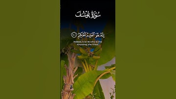 سورة يوسف 🤍 #اكسبلور #لايك #المصحف #القرآن_الكريم #حالات_واتس #اللهم_صل_وسلم_على_نبينا_محمد #تيك_توك