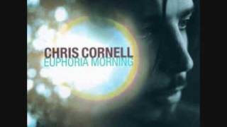 Chris Cornell  Steel Rain Resimi