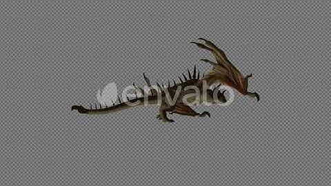 Pterosauria Dinosaur Walk Pack 4 In 1 | Motion Graphics - Envato elements