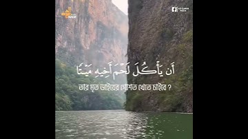قرآن كريم  من اجمل تلاوات ياسر الدوسري