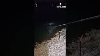 new fishing videos 2023