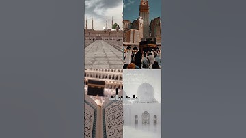 سورة فصلت للشيخ ناصر القطامي #قرآن #لايك #مشاهير