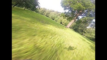 Ostankino park freestyle practice :: Vortex 250 Pro