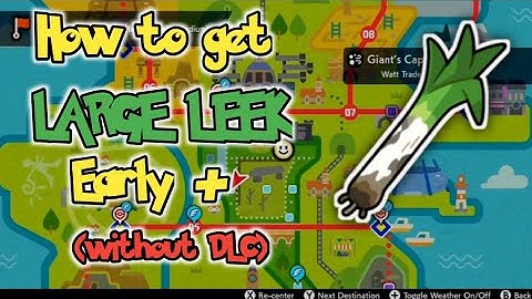Large Leek location (no DLC required) | Pokemon Sword and Shield