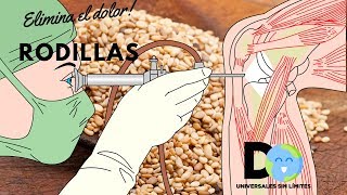 De dientes cómo ajonjoli magullar