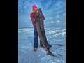 Sturgeon Spearing Lake Winnebago 2021