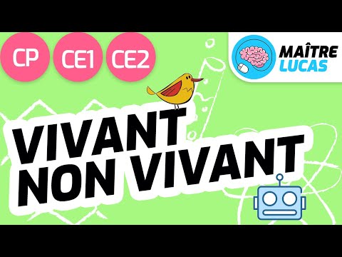 Vidéo: Comment sont classés les êtres vivants et non vivants ?