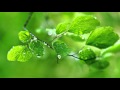 3 HOURS Relaxing Emotional Piano Music | Emotional Piano | Background for Meditation, Work, Study