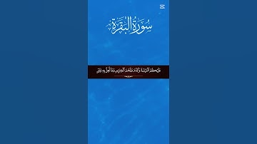 سورة البقرة.تلاوة رائعة #المصحف #راحة_نفسية #الرحمن #اكسبلور