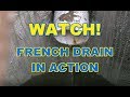 Watch a Working French Drain System in Action