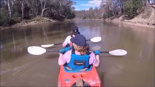 Steve Gwapo Mainland Trip 2019 Goulburn River Kayaking 131119