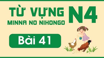 Từ vựng N4 bài 41| Minna no Nihongo