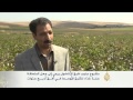 مشروع لرفع الإنتاج الزراعي والحيواني