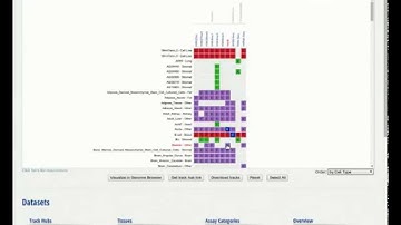 Introduction to the IHEC Data Portal