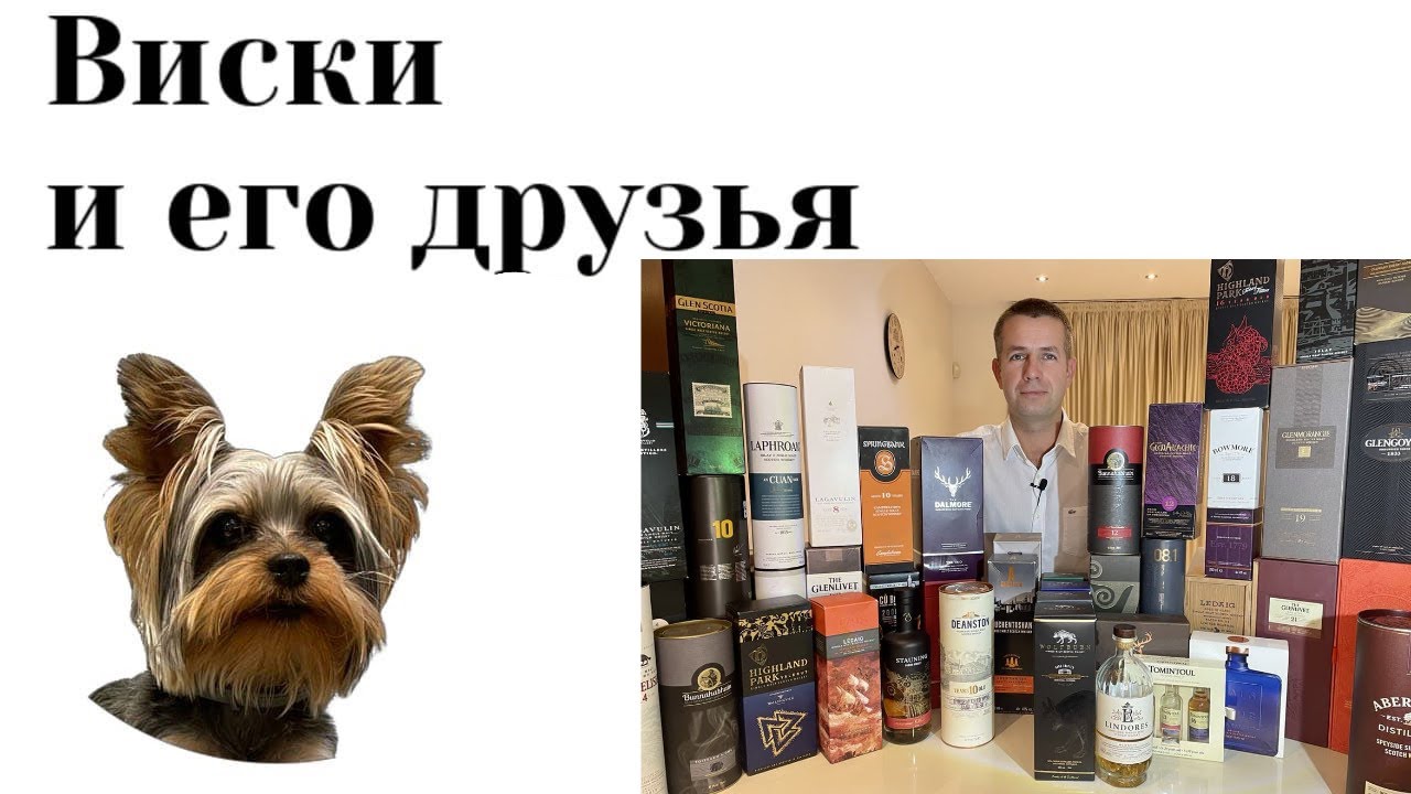 Виски на подарок 2022 - YouTube