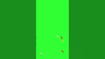 Confetti Green Screen #videoediting #greenscreenfootage #confetti