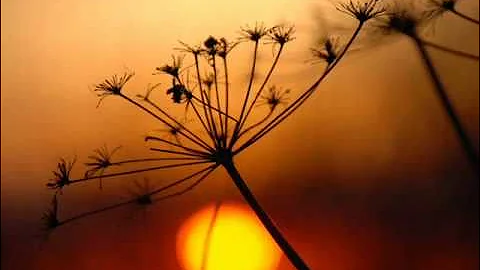 Deva Premal - Gayatri Mantra