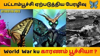 How a butterfly triggered a #World #War ? | Butterfly effect | Tales Board Tamil