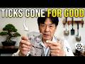 The Japanese Method to KILL ALL TICKS SAFE For Pets!