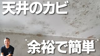 【お風呂の天井のカビ】　余裕で落とします　本当に余裕だった