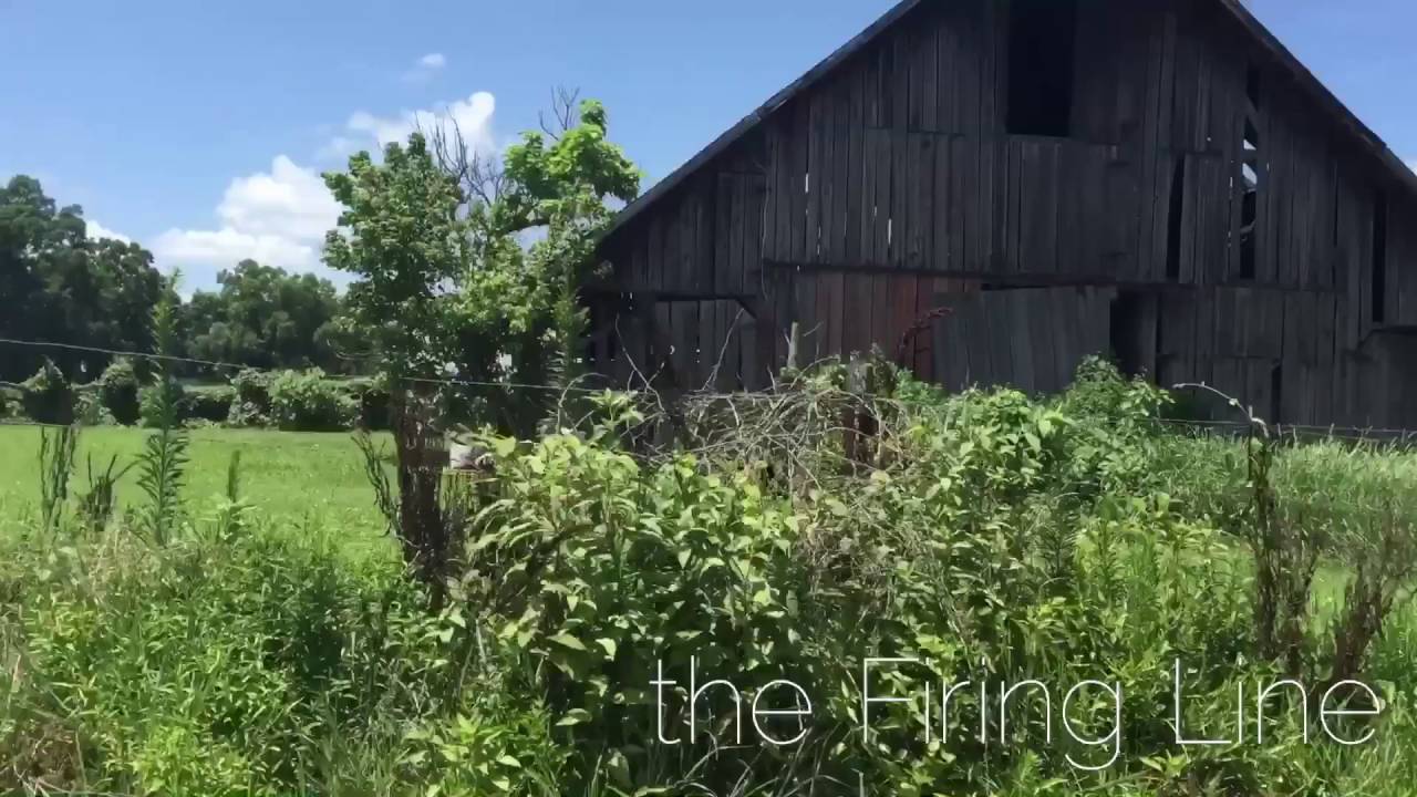 Mallard Estates, the Firing Line YouTube