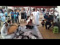 حزين ياسين محمد فيصل في قريه تلياره في سهل نينوى