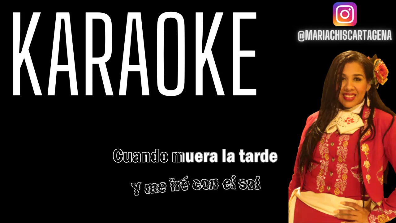 Luis Miguel La Media Vuelta (Karaoke) YouTube