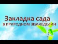 Природное земледелие - Закладка сада